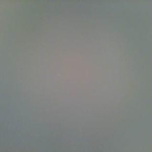 Meet your Posher, Annette